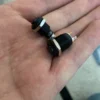 12/16/19/22mm High Head Push Button Switch Black Shell Power Switch LED Car Horn